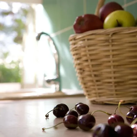 Isalos بيت ضيافة فاسيليكي